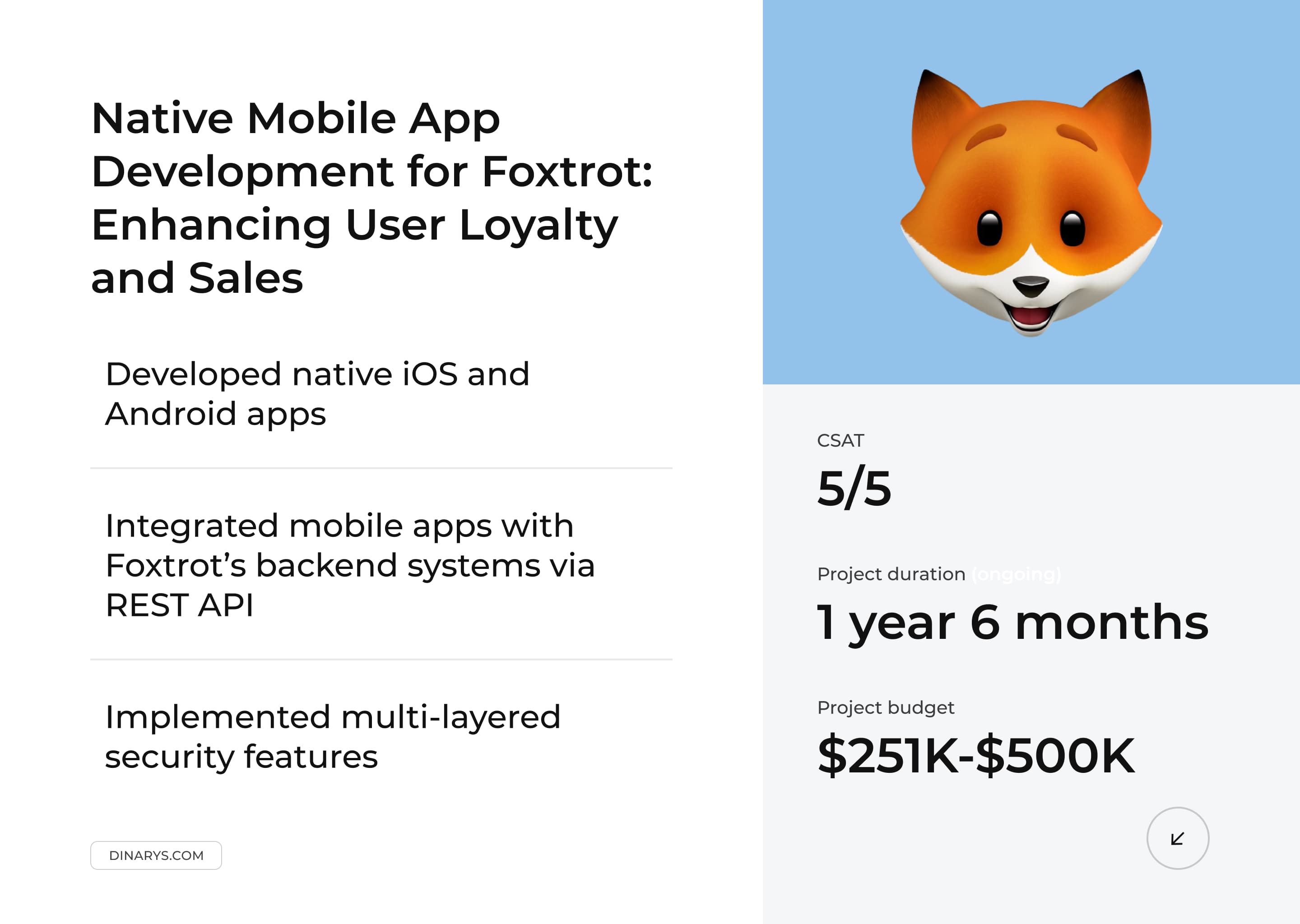 Native App Development for a Large Electronics and Appliance Store Chain